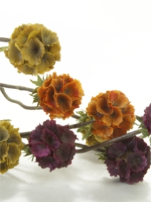 Picture for category Fall