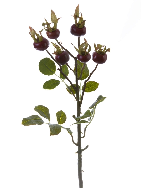 Picture of 23" ROUND ROSE HIP STEM