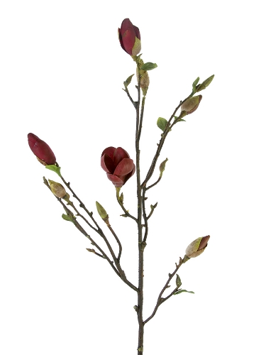 Picture of 38" MAGNOLIA TREE BUD