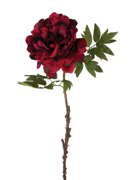 Picture of 42" COLLOSAL VELVET PEONY