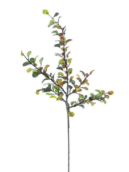 Picture of 21" BERRY SPRAY