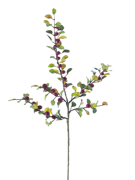 Picture of 21" BERRY SPRAY