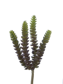 Picture of 10" BURRO TAIL PICK