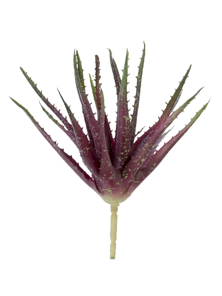 Picture of 10" ALOE PICK WITH THORNS