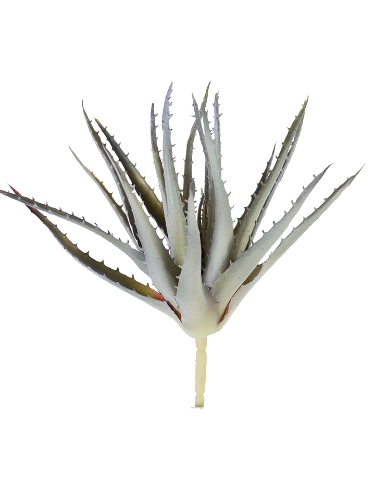 Picture of 10" ALOE PICK WITH THORNS