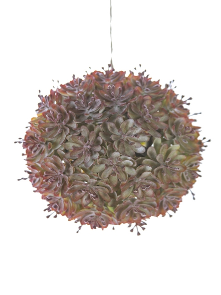 Picture of 5" SUCCULENT BALL