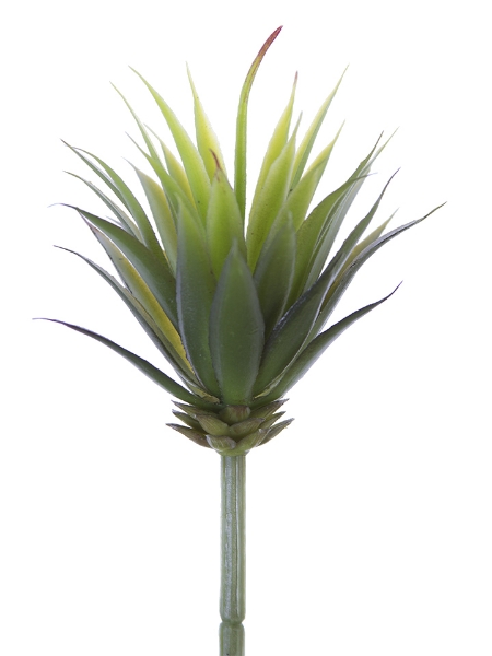 Picture of 8.5" MINI YUCCA PICK