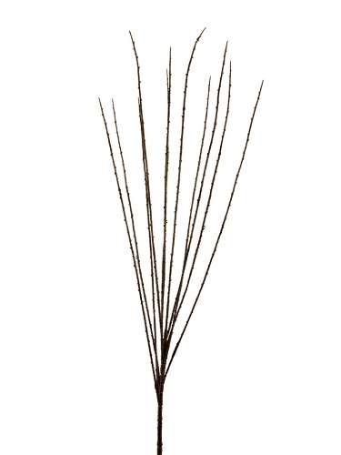 Picture of 37" BROOM BRANCH