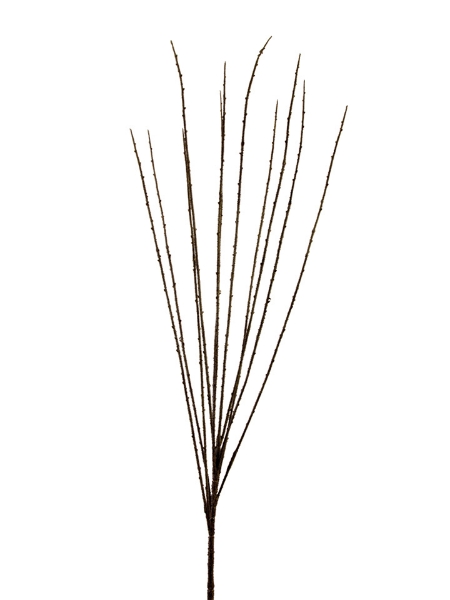 Picture of 37" BROOM BRANCH