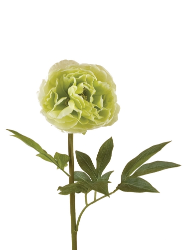 Picture of 25"NEO PEONY SPRAY