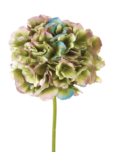 Picture of COLOSSAL HYDRANGEA SPRAY