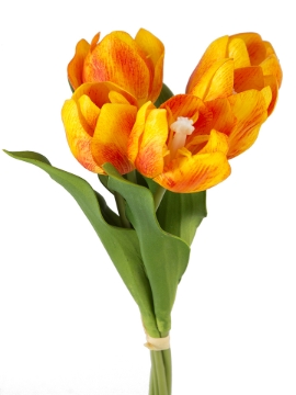 Picture of 13"DARWIN TULIP BUNCH X5
