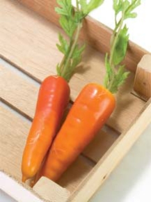 Picture for category Wooden