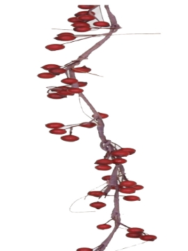 Picture of 6' BERRY GARLAND