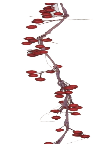 Picture of 6' BERRY GARLAND