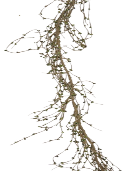 Picture of BERRY GARLAND