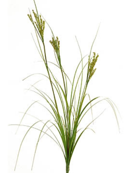 Picture of 18" PVC GRASS+6" Stem
