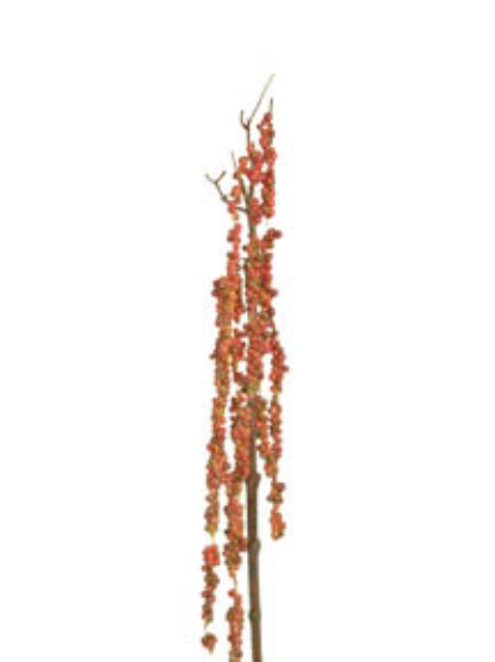 Picture of 31" WEEPING BERRY SPRAY (SM)
