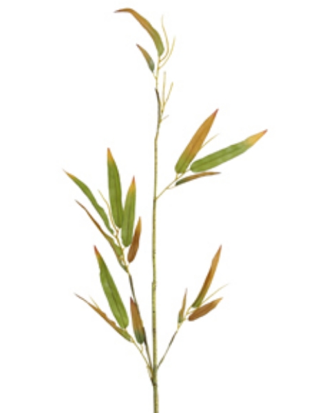 Picture of 39" BAMBOO STEM