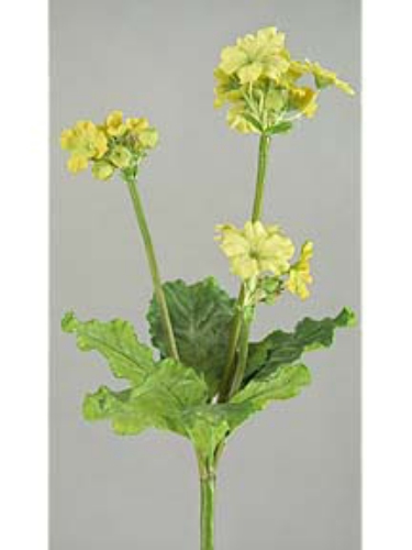 Picture of GERANIUM SPRAY X 3