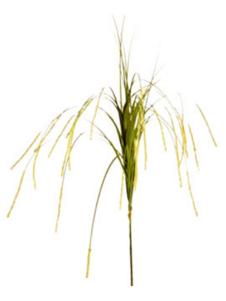 Picture of 38" PVC GRASS W/BERRY SPRAY