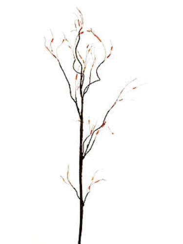Picture of TWIG