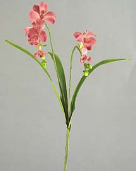 Picture of FREESIA