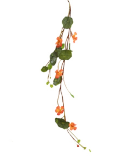 Picture of 41" NASTURTIUMS 5F 17L 1B