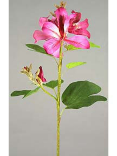 Picture of 36" ORCHID TREE