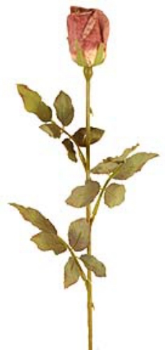 Picture of DRIED ROSE BUD X 1