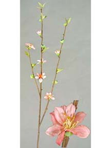 Picture of LG.  BLOSSOM SPRAY 11F