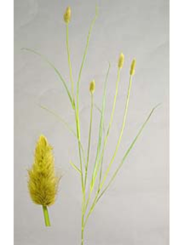 Picture of 38" FOXTAIL SPRAY X5