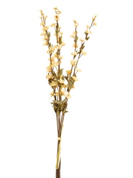 Picture of DRIED LARKSPUR SPRAY, 25"