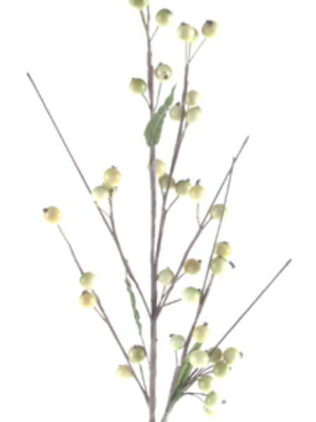 Picture of BERRY SPRAY