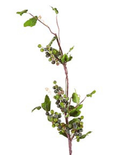 Picture of BERRY SPRAY