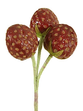 Picture of LG STRAWBERRY PICK X 3