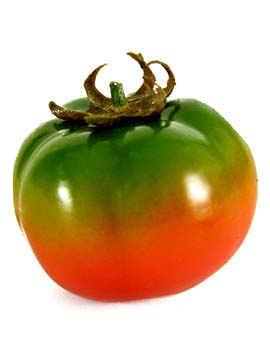Picture of 1-3/4" TOMATO