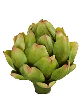 Picture of LARGE ARTICHOKE HEAD