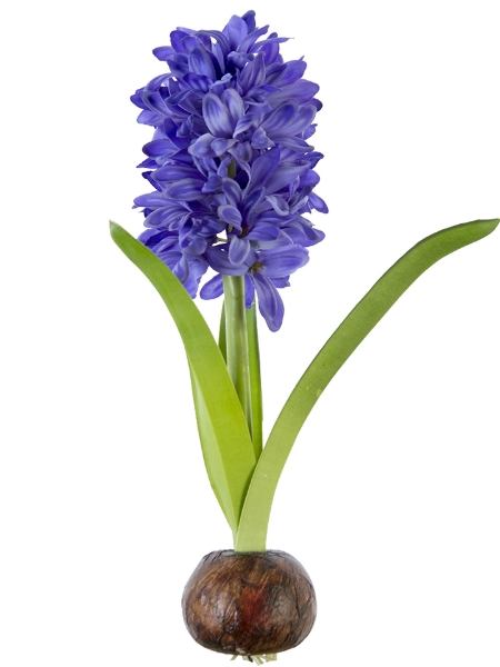 Picture for category SPRING