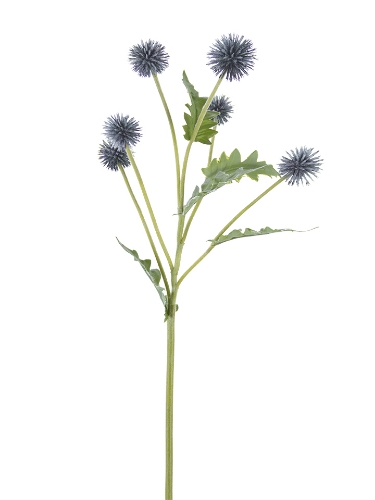 Picture of 25" GLOBE THISTLE SPRAY