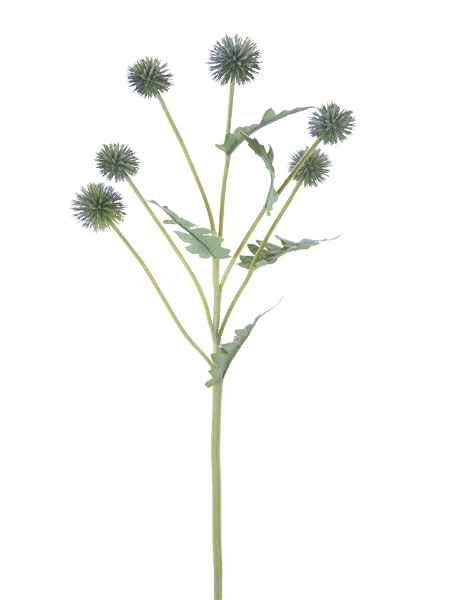 Picture of 25" GLOBE THISTLE SPRAY