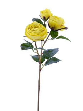 Picture of 21" FRESH TOUCH CABBAGE ROSE SPRAY