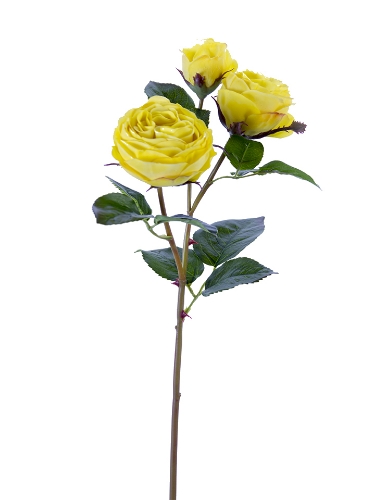 Picture of 21" FRESH TOUCH CABBAGE ROSE SPRAY