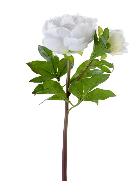 Picture of 23" FRESH TOUCH PEONY