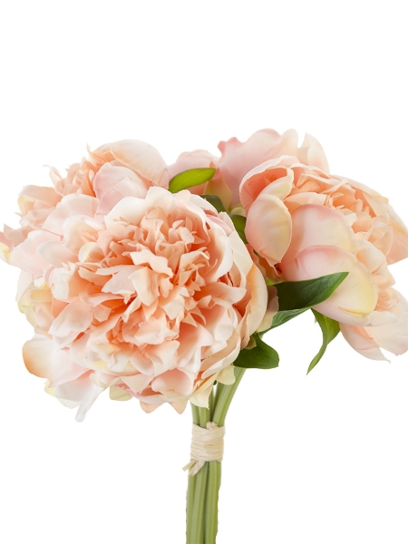 Picture of 10" FRESH TOUCHPEONY BUNDLE