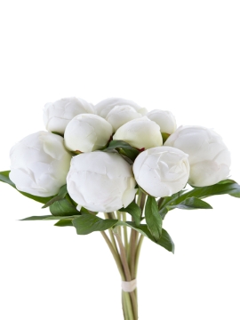 Picture of 12" FRESH TOUCH PEONY BUD BUNDLE X10