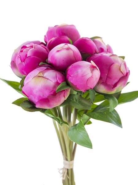 Picture of 12" FRESH TOUCH PEONY BUD BUNDLE X10