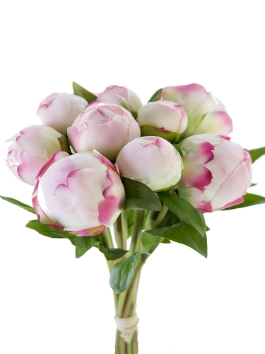 Picture of 12" FRESH TOUCH PEONY BUD BUNDLE X10
