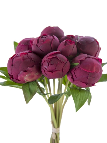 Picture of 12" FRESH TOUCH PEONY BUD BUNDLE X10