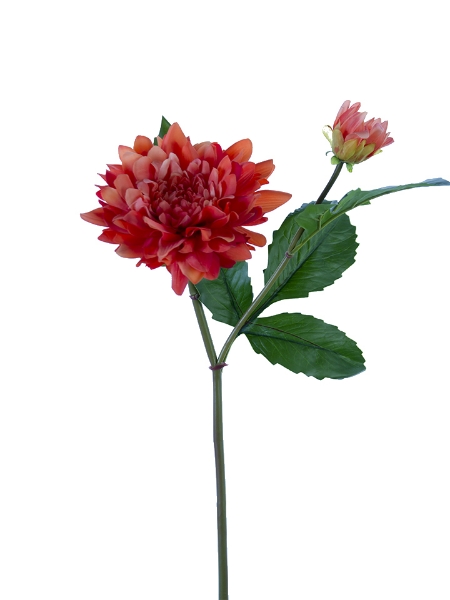 Picture of 21" FRESH TOUCH DAHLIA